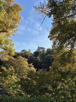 和歌山城の写真