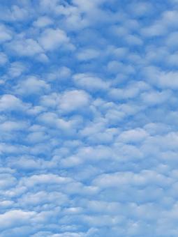 うろこ雲 うろこ雲の写真