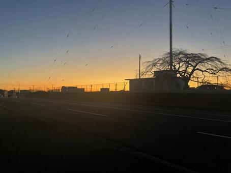 朝焼けと電線のある街道 朝焼け,空,電線の写真素材
