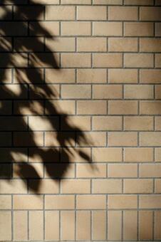 壁に映る木の葉の影 木の葉,葉,影の写真素材