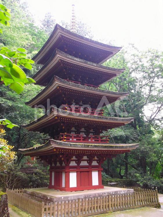 室生寺五重塔 室生寺,五重塔,奈良の写真素材