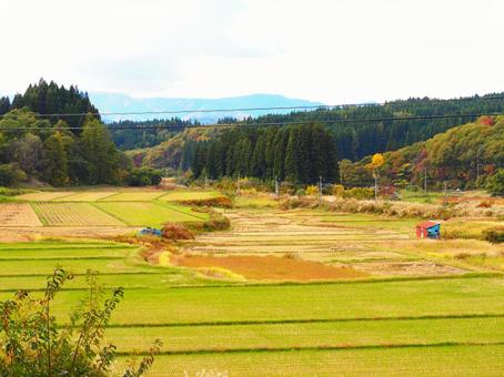 田園風景 景色,風景,美しいの写真素材