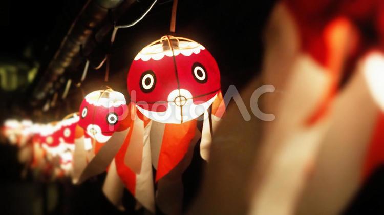優雅でユーモラス！柳井金魚ちょうちん祭り 山口県,柳井,金魚の写真素材