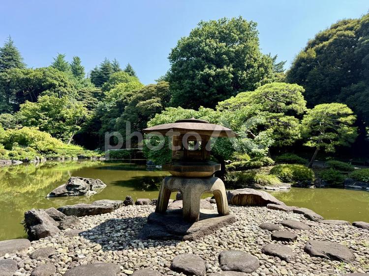 旧古河庭園　旧古河亭　日本庭園　7月 和風,旧古河庭園,旧古河邸の写真素材