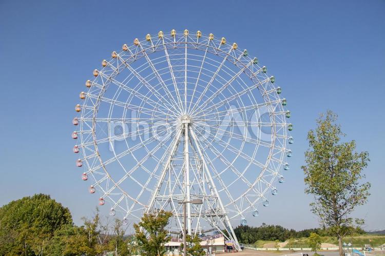 モリコロパーク 観覧車 モリコロパーク,観覧車,愛・地球博記念公園の写真素材