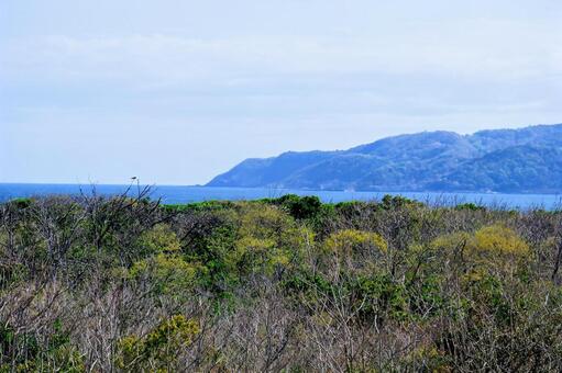 久美浜海岸 海岸,日本海,海の写真素材