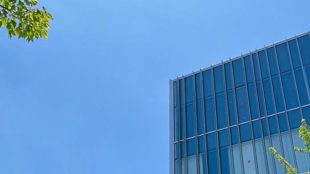 青空と樹木とビル 青空と樹木とビル ビル,建物,テナントビルの写真素材