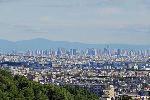 山から見下ろす大阪都心 山から見下ろす大阪都心の写真