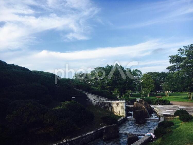 公園 公園,四季,季節の写真素材