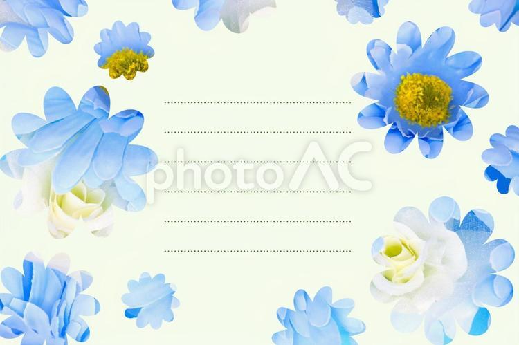 春の爽やかなレター素材 春,レター,花の写真素材