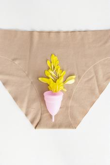 月経カップとショーツと花 生理,月経,生理用品の写真素材