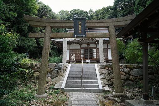 パワースポット宝塚市川面 皇太神社⑨鳥居 パワースポット宝塚市川面 皇太神社⑨鳥居の写真