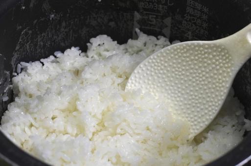 炊飯器ご飯 炊飯器ご飯 ご飯,お米,お釜の写真素材