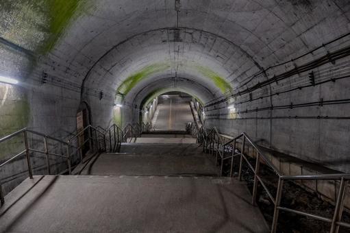 Photo, dogo station, mole station, station, 