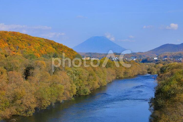 蘭越町　尻別川と羊蹄山(秋・紅葉) 羊蹄山,蘭越町,尻別川の写真素材