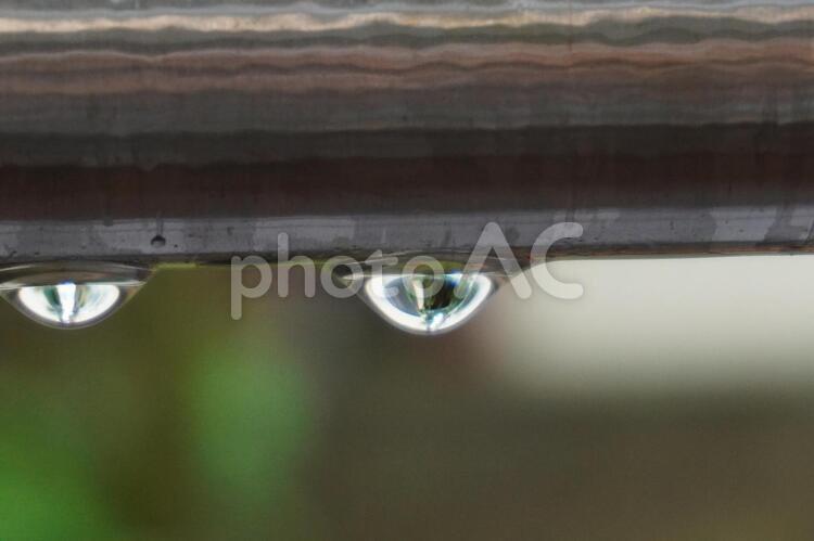 落ちてきた雨 水滴,雨,光の写真素材
