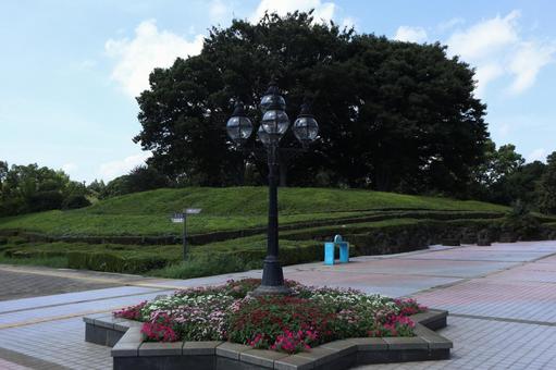 千葉県 柏の葉公園 千葉県 柏の葉公園 柏の葉公園,公園,自然の写真素材