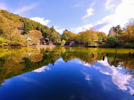秋晴れの森林公園の鏡池 森林公園,秋,キャンプ場の写真素材