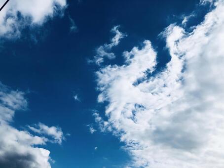 空に浮かぶ雲 空に浮かぶ雲の写真