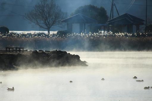 熊本県嘉島町 浮島池 熊本県嘉島町 浮島池 浮島池,浮島,池の写真素材
