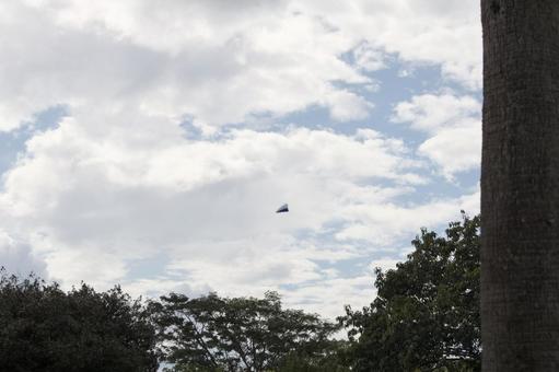 空高く昇る:凧の夢と冒険 空高く昇る:凧の夢と冒険の写真