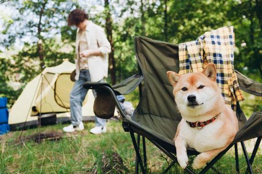 芝生に座る犬と男性の写真