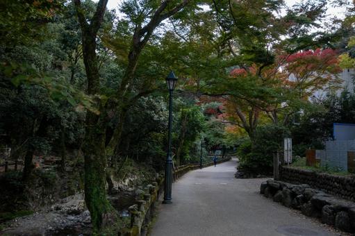 箕面の紅葉 箕面の紅葉の写真