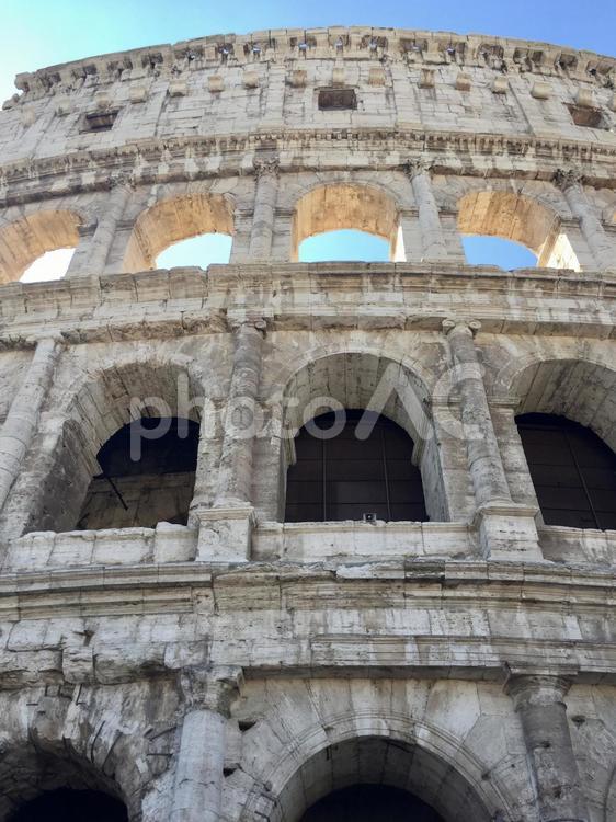 コロッセオ（見上げる） コロッセオ,italia,イタリアの写真素材