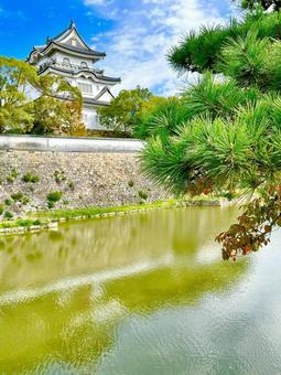 岸和田城 大阪,大阪府,岸和田の写真素材