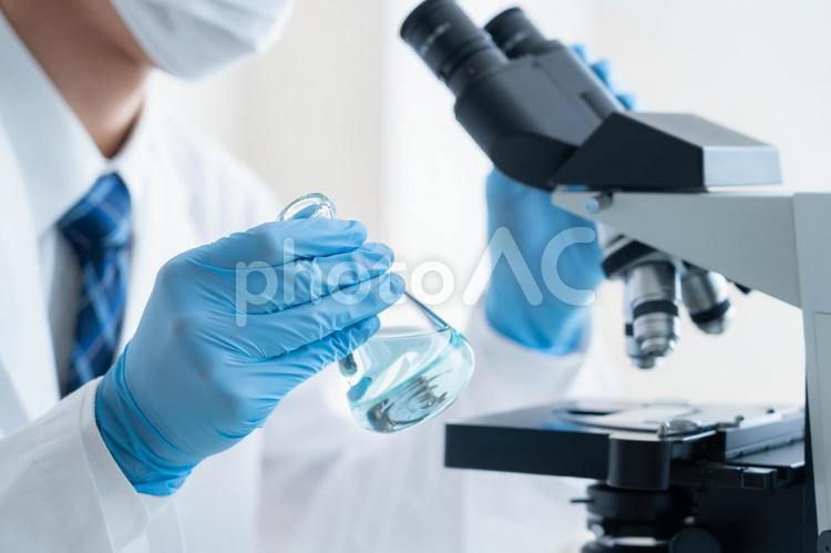 研究所で実験をする研究者 研究,科学,実験の写真素材