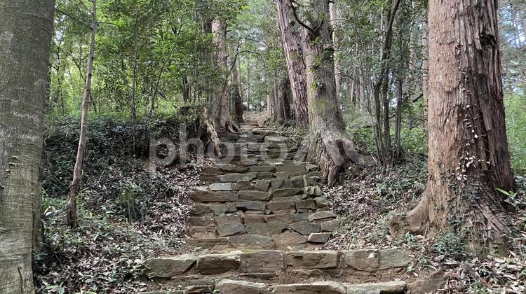 山頂の神社へ続く険しい石段 石段,石階段,階段の写真素材