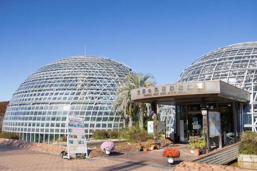 東谷山フルーツパーク 世界の熱帯果樹温室 東谷山フルーツパーク,世界の熱帯果樹温室,名古屋市の写真素材