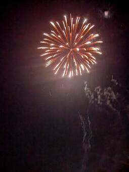 夜空に咲く華麗な花火 花火,夜空,光の写真素材