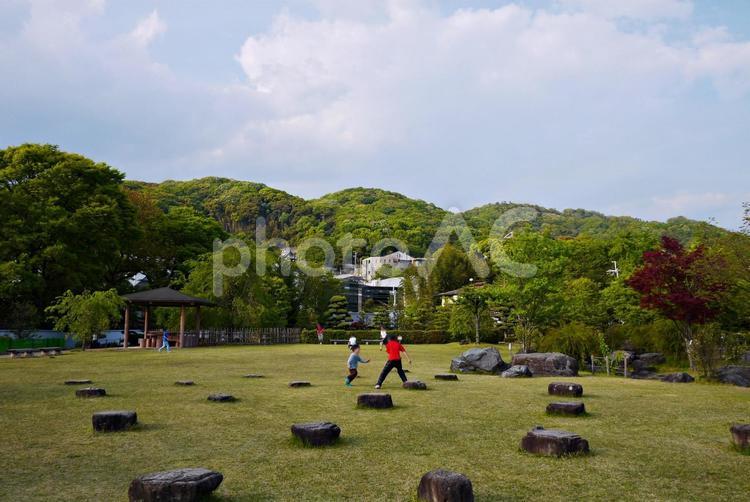 池田城跡公園芝生広場と五月山 池田城跡公園,芝生,広場の写真素材