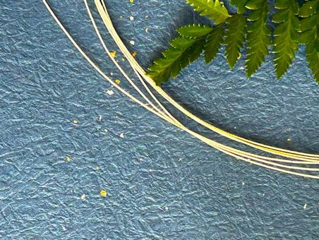 青い和紙と水引　鮮やかな緑の融合 正月,背景,和風の写真素材