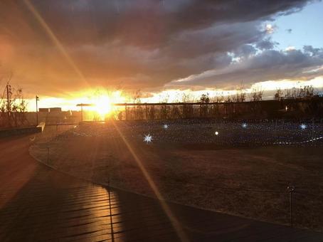 二子玉川ライズ 二子玉川ライズ 二子玉川ライズ,夕焼け,夕日の写真素材