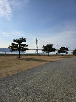橋の見える海辺の公園 橋の見える海辺の公園 park,空,海の写真素材