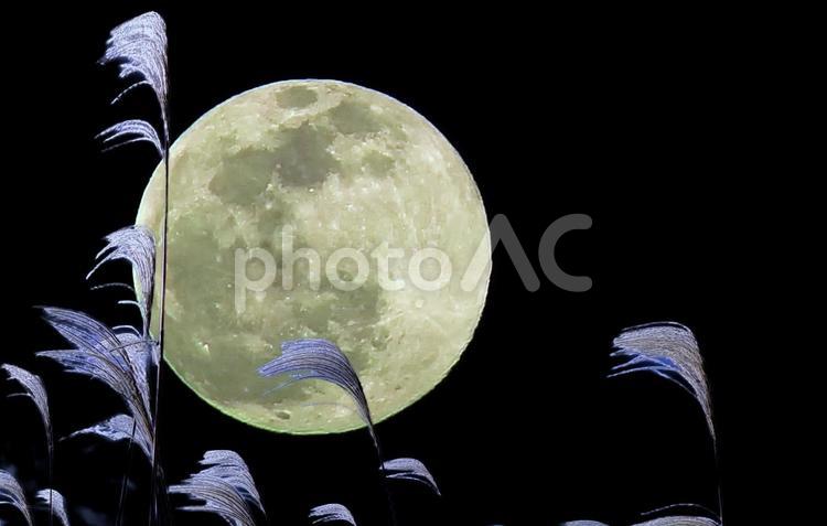 秋イメージ素材/中秋の名月 中秋の名月,満月,秋の写真素材