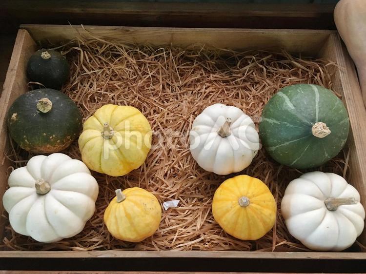 ハロウィンのかぼちゃ ハロウイン,ハロウィン,かぼちゃの写真素材