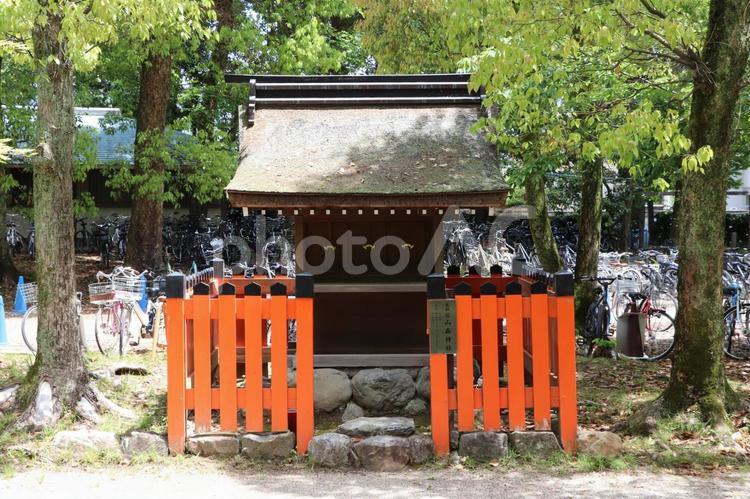 賀茂別雷神社（上賀茂神社）末社山森神社 山森神社,賀茂別雷神社,上賀茂神社の写真素材