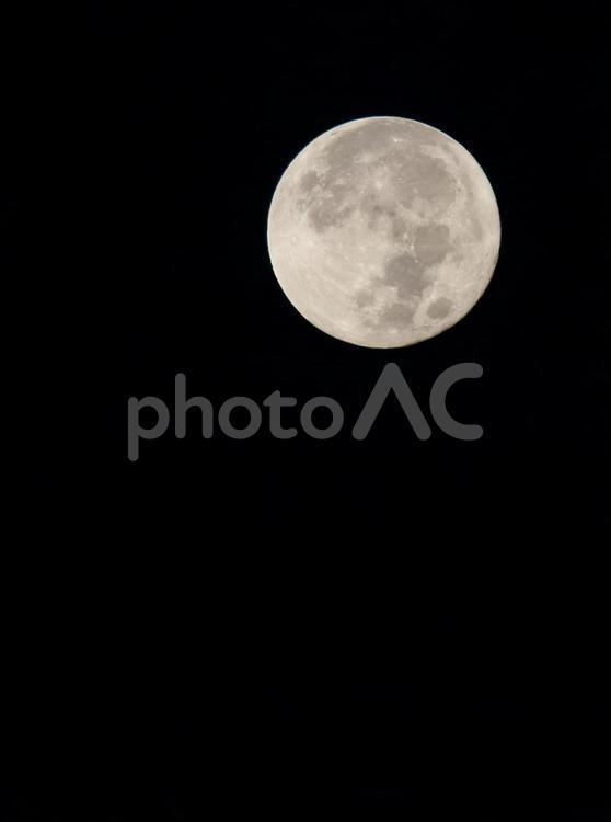 名月　十五夜の満月 月,名月,十五夜の写真素材