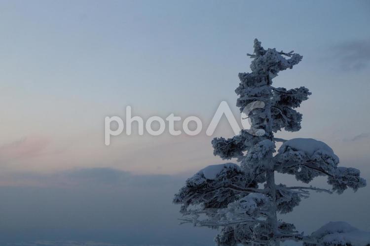 冬の風景 北海道,冬,雪の写真素材