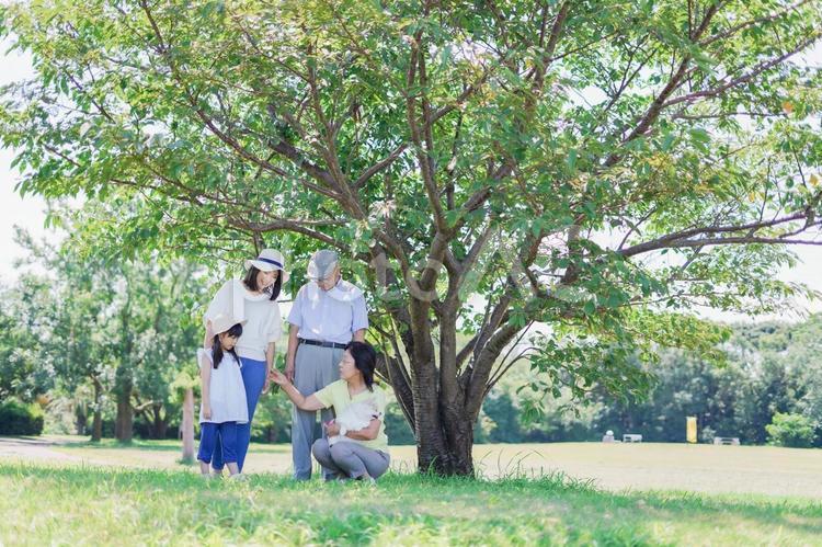 幸せなファミリー・家族イメージ 白バック,祖父母,カップルの写真素材