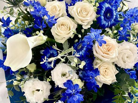 白と青のフラワーアレンジメント 白と青のフラワーアレンジメント フラワーアレンジメント,花束,白い花の写真素材