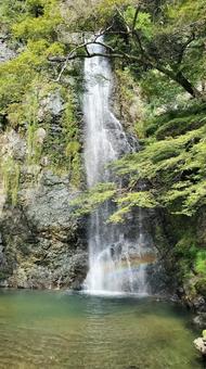 虹と滝 行楽 お出かけ 自然 滝つぼ 虹と滝 行楽 お出かけ 自然 滝つぼ 滝,虹,水の写真素材