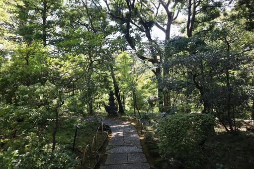 こもれ陽と緑の樹々と石畳みの小径のある庭 こもれ陽,緑,樹々の写真素材