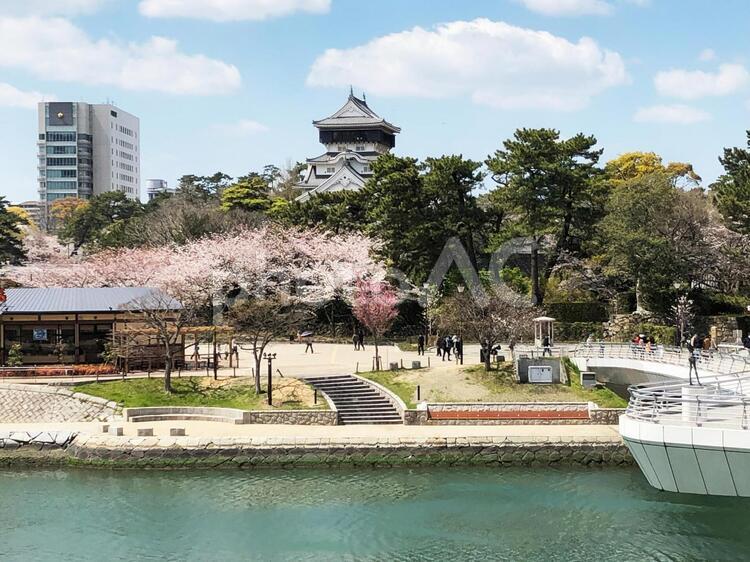 小倉城と春の風景 小倉城,風景,北九州の写真素材