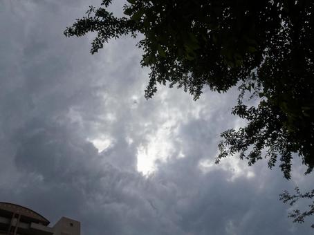 五月の雲-15 五月の雲-15の写真