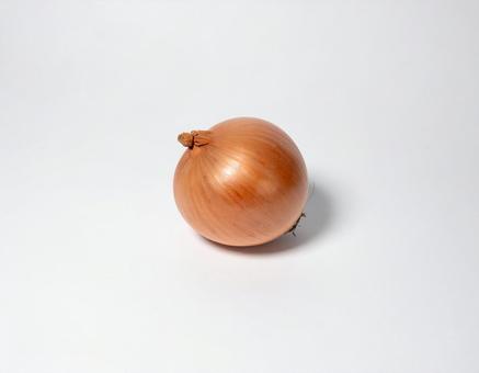 玉ねぎ 単品 6 玉ねぎ 単品 6の写真