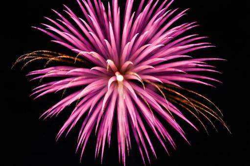 花火 花火の写真